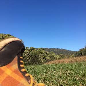 Hiking. Nice place for a nap