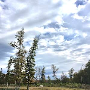 RV sites with mountain views