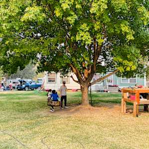 Open Grassy Field