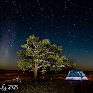 Star Filled Skies