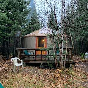 Tall Pines Wilderness Yurt