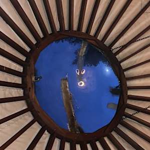 Tall Pines Wilderness Yurt