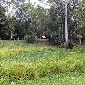 Across the billabong to the grove