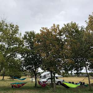 Good grove of small pecan trees for hammocks