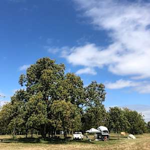 View of the campsite area we chose under the pecan tree