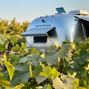 My friends texted after I posted on social media and asked if I had permission to be parked *in* the vineyard! :o)