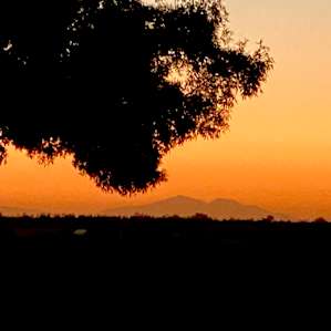 Views of Mt Diablo... and the only sound, a few owls in a nearby tree. Perfection!