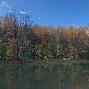 View from the cabin door