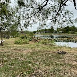 Pollinator pond