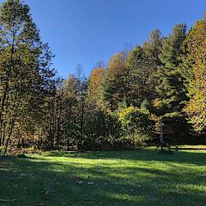 Field on the property, near the campsites