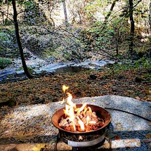 Site 10: Looking out from the sitting area toward the creek