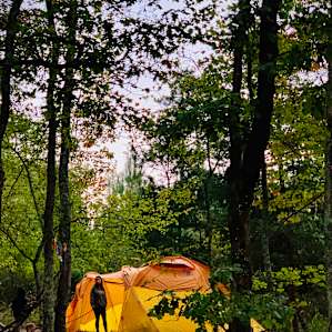 Trail Blazer Survival Camp