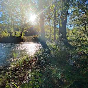 The creek is beautiful