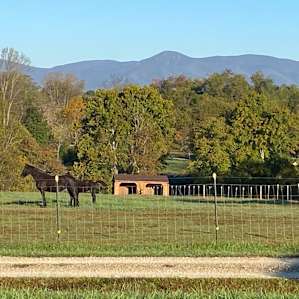 RV and group site at La La Land