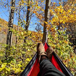 T Spot Campsite