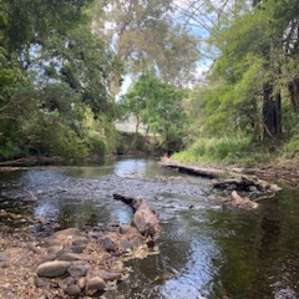 More river