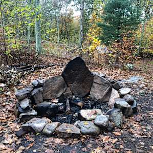 Best Fire Pit and Fire wood!