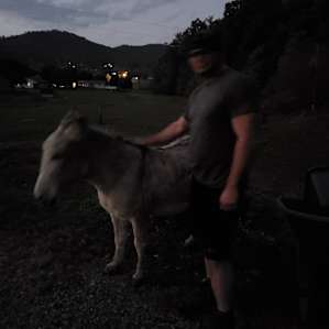 This donkey also walked up and said hello.