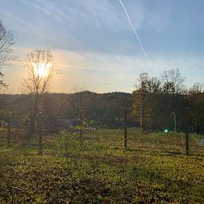 From atop the property.