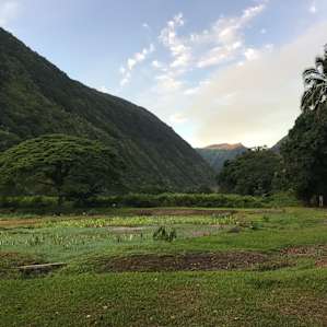 Waipio Valley of the Kings Camp Out