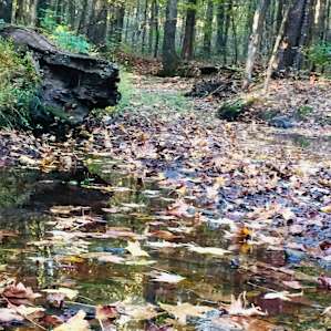 Creek on the North side