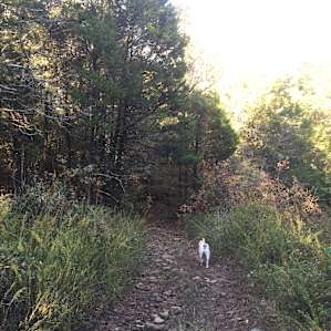 More trail