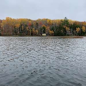 El Floretta Lakeside Tiny Camp