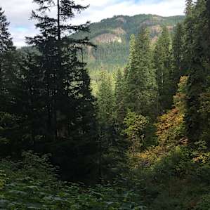 Nearby hike