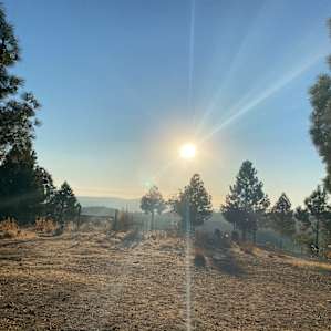 Shady Oak Car Camping (Site 4)