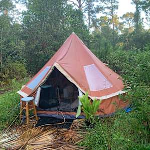 Cedar+Pine Pop-Up at Powerland