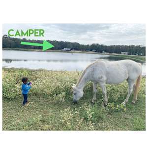 Stay @ Diamond W Ranch