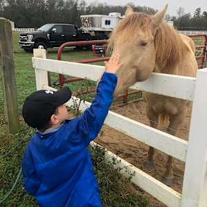 Cavvietta Quarter Horse & Cattle Co
