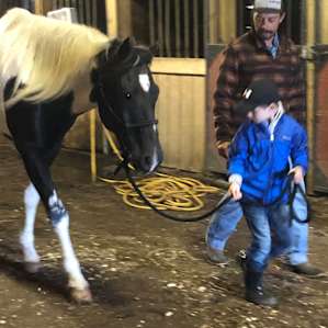 My son’s Intro to Horses lesson!