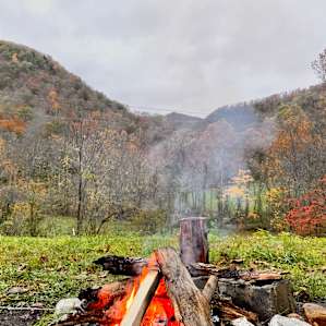 Idyllic grass and wooded campsite.