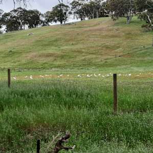 Alexander Estate Farm