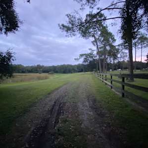 RV site at Fiddlers Green RV Ranch