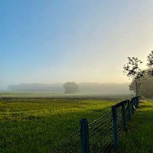 View of the surrounding landscape.