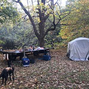 15 Acre Wood on Lake