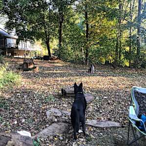 15 Acre Wood on Lake