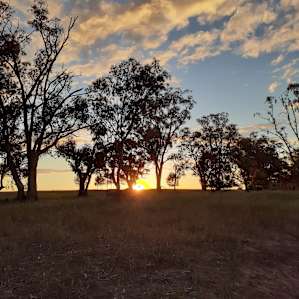 Sun setting over our every morning view