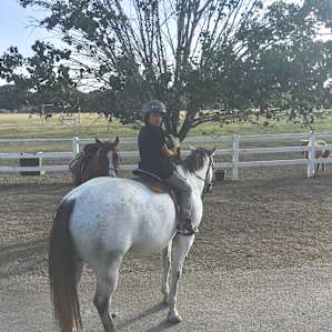 Horseback Camping In the Woods