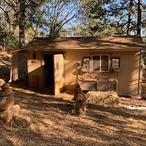 Enchanted Meadow Love Shack