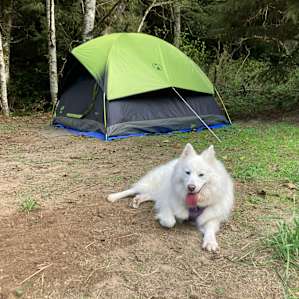 Happy camper