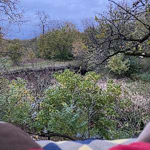 This was the view from up in the tree.
