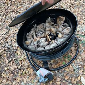 You need to bring your own propane. Really good for cold weather!