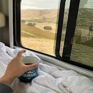 Morning view