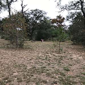 The camp sight is way in the distance so you can see how much room there is out here. Very spacious and the kids were free to explore.