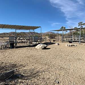 Five Hearts Healing Arts Ranch Camp