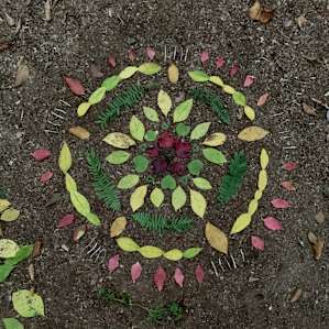 Nature art ;)