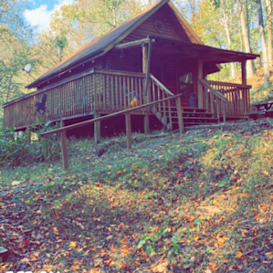 Lukes cabin ( pet friendly)